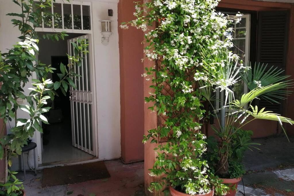 La Casa Della Mia Famiglia Apartment Rome Exterior photo